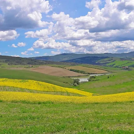 Maya Volterra